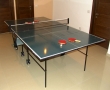 Tenis de Masa