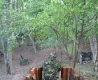 Teren PainBall