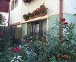 Gradina Flori