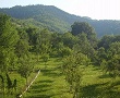 Priveliste