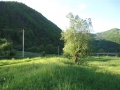 Spre Brazesti