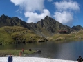 Balea