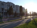 Fagarasul