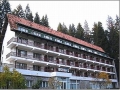 Hotel Timis 
