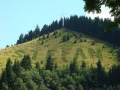 Intrare Putna